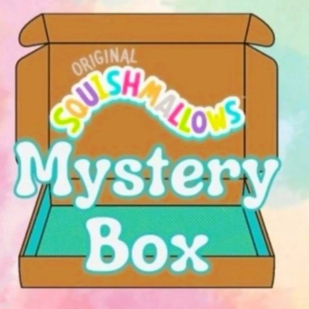 Bundle Mystery Squishmallow Box New with tags lot of 2